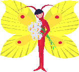 Бабочка с букетом цветов