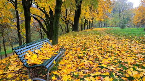 Открытки. Скамейка усыпана осенней листвой!