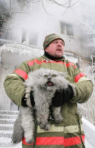 День пожарника! Пожарник спас кота