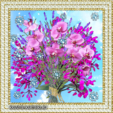 Букет с орхидеями фаленопсис в красивой жемчужной рамке