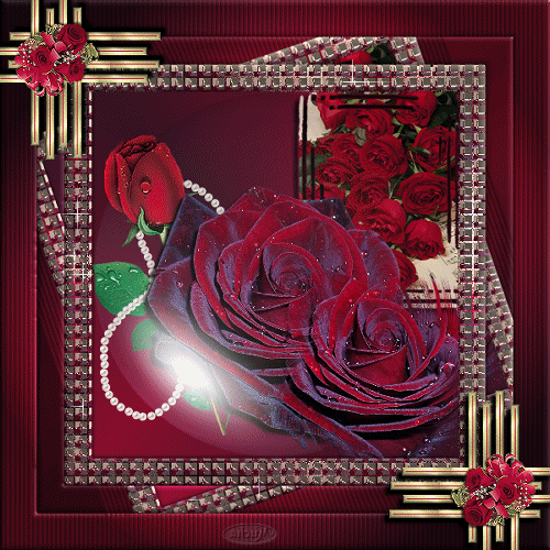 Анимационная фото открытка с бордовыми и алыми розами для...