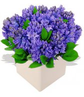 Букет красивых синих цветов