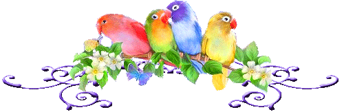 Разноцветные попугаи на цветущей ветке. Красочная картинк...