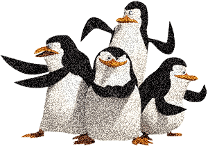 Самые смешные птицы на свете - пингвины. Встречаем этих п...