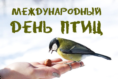 Открытки. 1 апреля - Международный день птиц