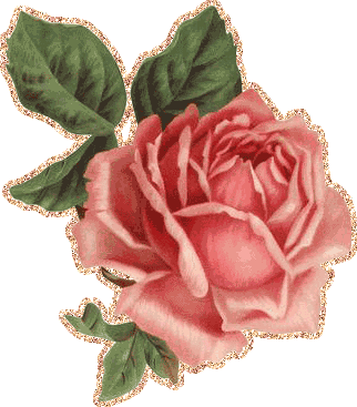 Красиво нарисованная розовая роза