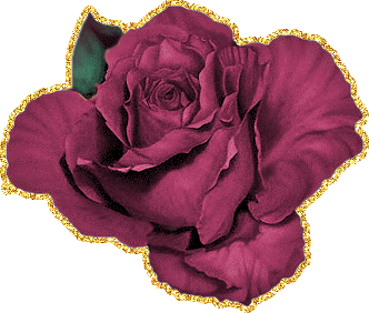 Темная малиновая роза для страстной женщины
