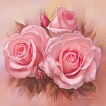 Три розовых розы с бутонами