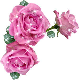 Три розовые розы прекрасны с бликами