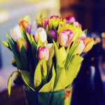 Тюльпаны в вазе в солнечном свете