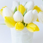 Тюльпаны белые и желтые в вазе