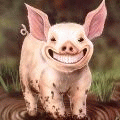 Свинья радостно копается в грязи