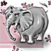 Слон серый на розовом фоне