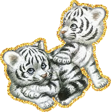 Нарисованные маленькие тигрята белой масти