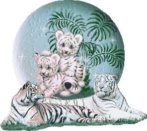 Красивая картинка анимация белых тигрят, их мамы и уссури...