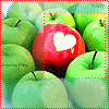 Красное яблоко среди зеленых