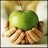 Зеленое яблоко в руках