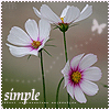 Simple, простой, просто, три цветочка
