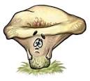 Грустный гриб