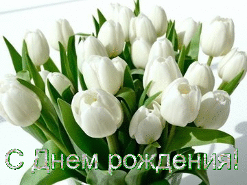 С Днем рождения! Белые тюльпаны букет