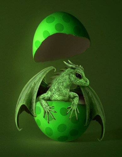 Крошечный дракончик вылупился из зеленого яйца - вот и я!