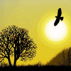 Птичка, летящая на закате солнца