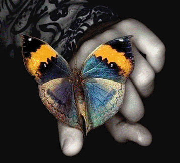 Анимация бабочки на руке