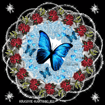Анимация с синими бабочками в таинственном круге