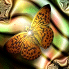Бабочка на красивой ткани