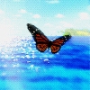 Бабочка летающая у моря
