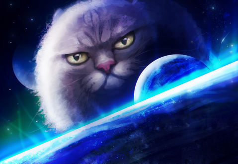 Открытки с Всемирным днём НЛО. Кот, следящий за космосом!