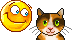 Кот, кошка, котята смайлики гифки анимации