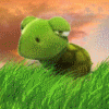 Черепашка в зеленой траве на солнце