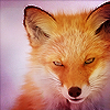 Злой взгляд лисы