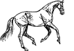Рисованая лошадь