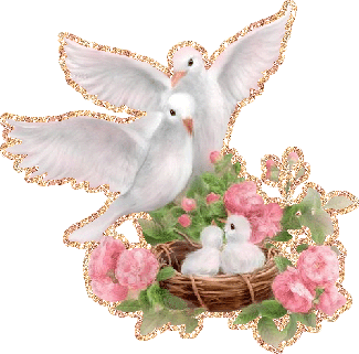 Символ семейного счастья - белые голуби и их маленькие пт...