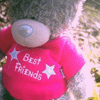 Мишка teddy в футболке с надписью best friends