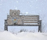 Плюшевый медведь сидит  на скамье с аквариумом зимой