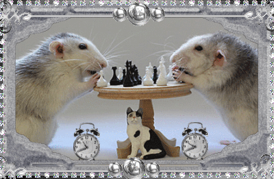 Мыши играют в шахматы