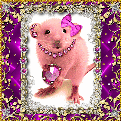 Необычная розовая крыса открывает парад красоты грызунов