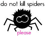 Паучёк - do not kill spiders please