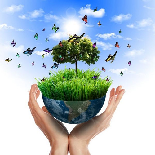 5 июня - Всемирный день охраны окружающей среды!