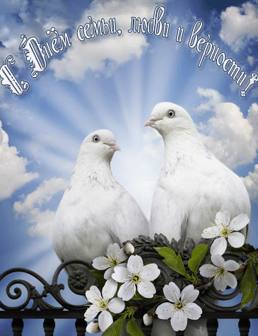 С днем семьи, любви и верности! Два голубя на цветущей ве...