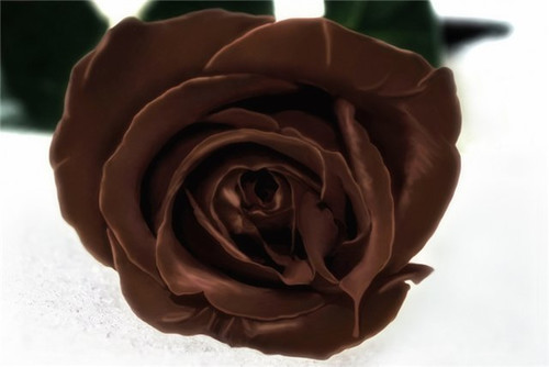 Всемирный день шоколада 11 июля. Роскошная шоколадная роза