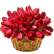 Красные тюльпаны в корзине с переливом камней