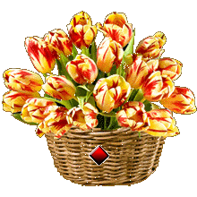 Красно-желтые тюльпаны в корзине