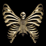 Скелет - бабочка