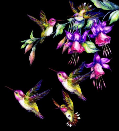 Малыши колибри кружат вокруг вкуснейших цветов