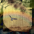  Чайка летит по <b>дождливому</b> небу  гифка анимация