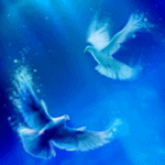  <b>Голубь</b> и <b>голубка</b> в воде  гифка анимация